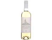 Schaffhausen AOC Hallauer Pinot Noir Rosé (2025) – Roséwein, Schweiz (0.75l)