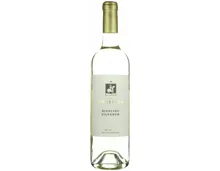 Schaffhausen AOC Riesling-Silvaner Graf von Spiegelberg (2025) – Weisswein, Schweiz (0.75l)