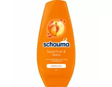 Schauma Conditioner Superfruit & Glanz Up 250ml