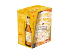 Schützengarten Ginger Beer alkoholfrei