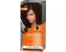 Schwarzkopf Ansatzset 3 x A4 Dunkelbraun