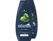 Schwarzkopf Schauma Shampoo for Men 2 x 400 ml