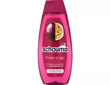 Schwarzkopf Schauma Shampoo Fresh it Up 2 x 400 ml