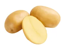 Schweizer Bio Kartoffeln festkochend