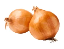 Schweizer Bio Zwiebeln gelb