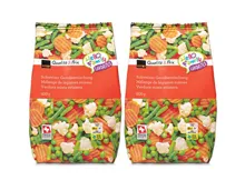 Schweizer Gemüsemischung 2x 600g