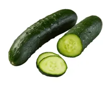 Schweizer Gurke Nostrano