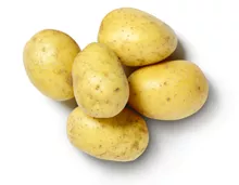 Schweizer Kartoffeln
