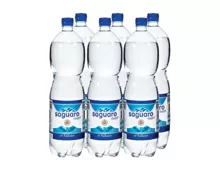 Schweizer Mineralwasser