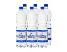 Schweizer Mineralwasser