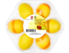 Schweizer Picknick-Eier