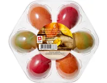 Schweizer Picknick-Eier