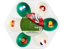 Schweizer Picknick-Eier