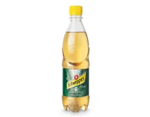 Schweppes Ginger Ale