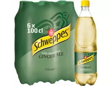 Schweppes Ginger Ale 6x100cl