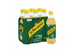 Schweppes Ginger Ale 6x50cl