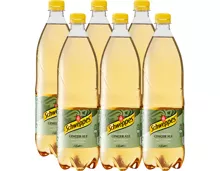 Schweppes Ginger Ale