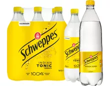 Schweppes Indian Tonic