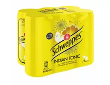 Schweppes Tonic 6x33cl