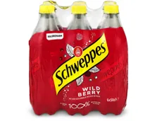 Schweppes Wild Berry 6x50cl
