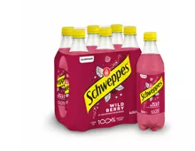 Schweppes Wild Berry 6x50cl