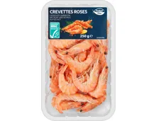 Seafood 4 You Crevetten roses