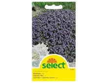 Select Blaukissen nieder