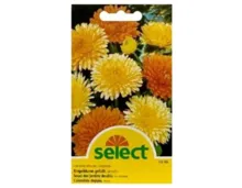 Select Calendula Ringelblume gefüllt