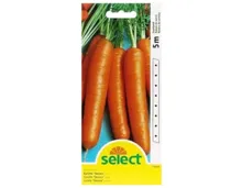 Select Karotte Decora Saatband
