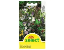 Select Samen Blumen und Kräuterwiese
