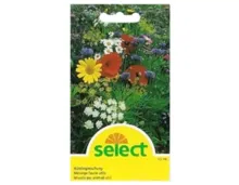Select Samen Nützlingsmischung
