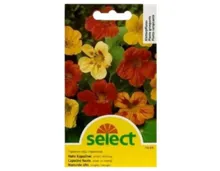Select Tropaeolum Samen | Majus Mischung