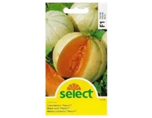 Select Zuckermelone Fiesta