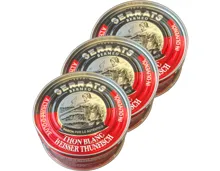 Serrats Thunfisch weiss in Öl 3x 81g