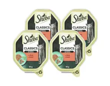 Sheba Classics Nassfutter Pastete Rind 4x 85g
