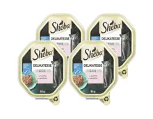 Sheba Delicatesse Katzenfutter in Gelee Lachs MSC 4x 85g