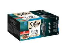 Sheba Fresh & Fine Fisch 50 x 50 g