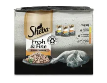 Sheba Katzenfutter in Sauce Fresh & Fine Geflügel 15x50g