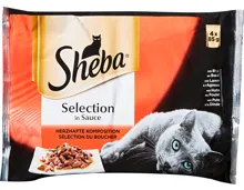 Sheba Selection in Sauce Herzhafte Komposition
