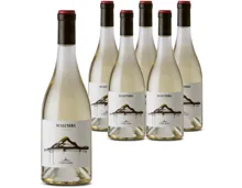 Sicilia Carricante Bianco Torre Mora 6x 75cl (2023) – Weisswein, Italien (0.75l)
