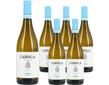 Sicilia DOC Grillo Cardilla Bacaro 6x 75cl (2025) – Weisswein, Italien (0.75l)