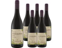 Sicilia DOC Nero Avola/Shiraz Pasqua 6x 75cl (2024) – Rotwein, Italien (0.75l)