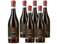 Sicilia DOC Nero d'Avola Due Mondi Barone Montalto 6x 75cl (2023) – Rotwein, Italien (0.75l)