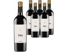 Sicilia Nero d’Avola Cantine Cellaro 6x 75cl (2022) – Rotwein, Italien (0.75l)