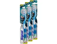 Signal Zahnbürste Interdental Expert Trio