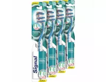 Signal Zahnbürsten Interdental Expert 4er-Pack