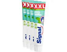 Signal Zahnpasta Cool Spearmint