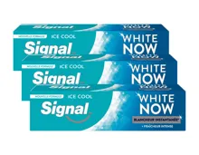 Signal Zahnpasta White Now