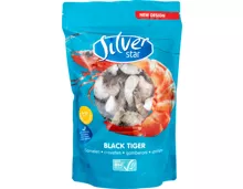 Silverstar Black Tiger Crevetten