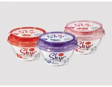 Skyr fruchtunterlegt